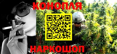 Альфа ПВП Камышлов