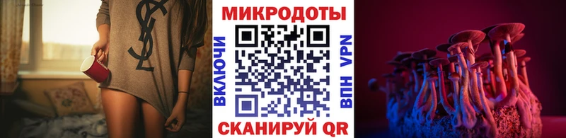 Псилоцибиновые грибы Cubensis как найти Азов