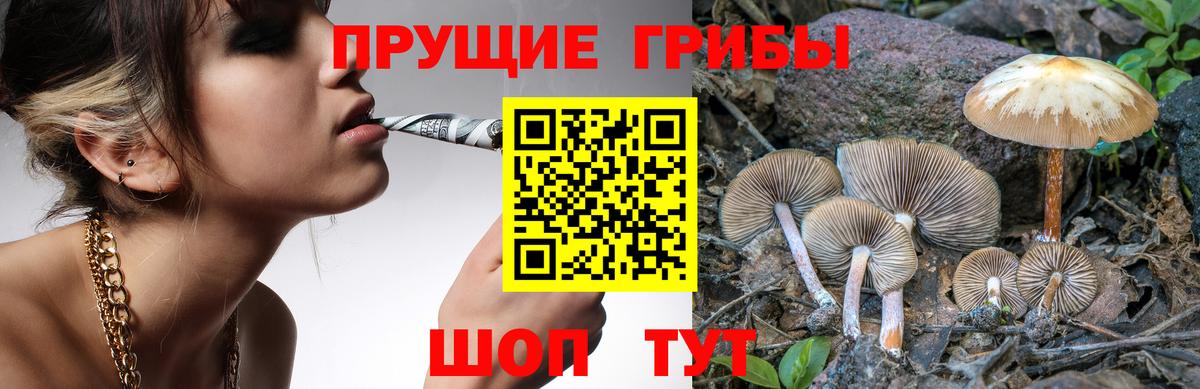 Псилоцибиновые грибы Magic Shrooms Азов